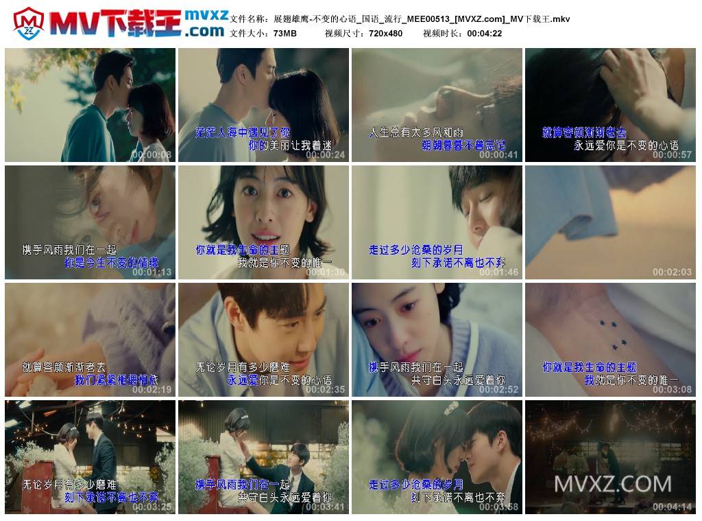 展翅雄鹰-不变的心语_国语_流行_MEE00513